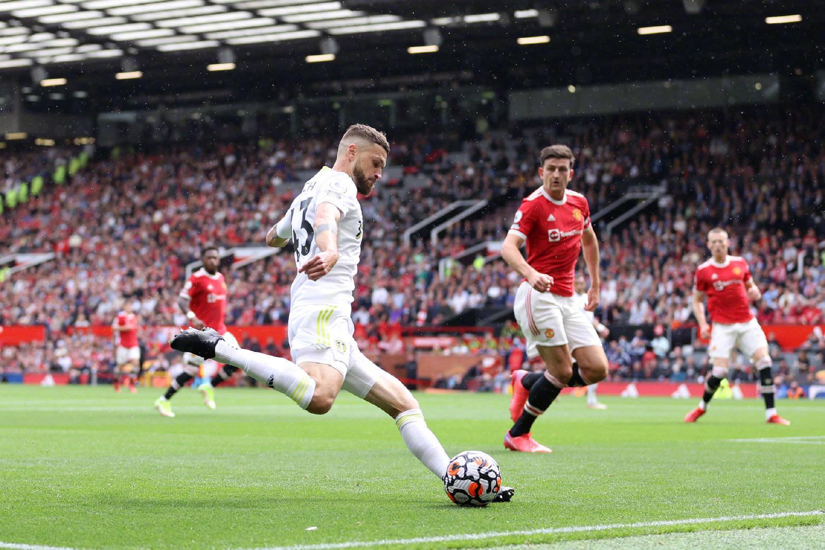 具备出众的 具备出众的